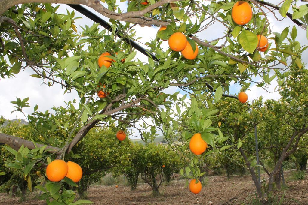 Tenuta Lanza Il Mulino Acquaviva Platani المظهر الخارجي الصورة