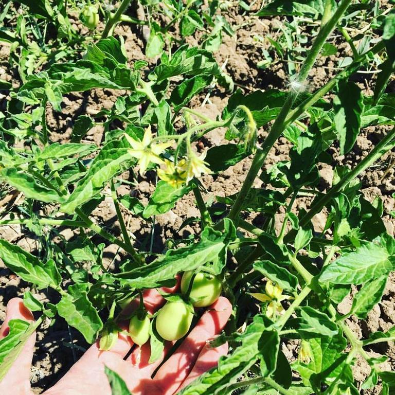 Tenuta Lanza Il Mulino Acquaviva Platani المظهر الخارجي الصورة