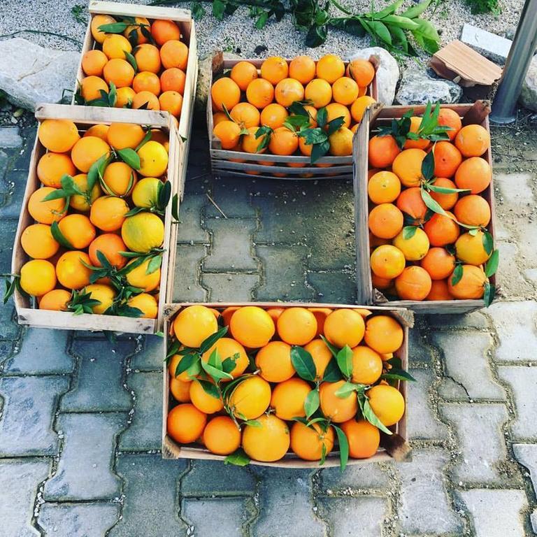 Tenuta Lanza Il Mulino Acquaviva Platani المظهر الخارجي الصورة