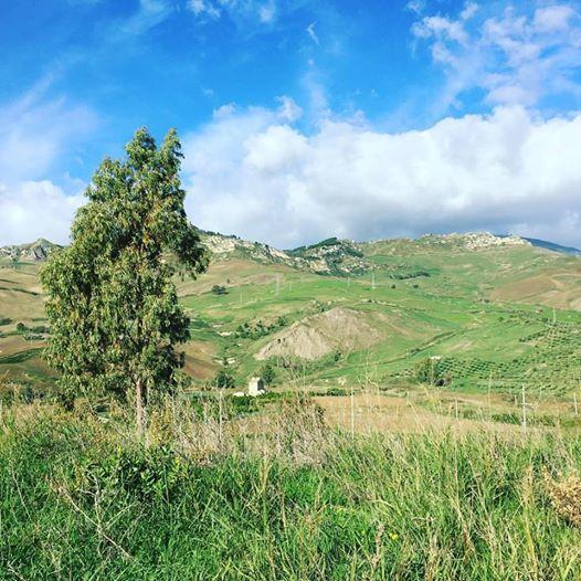 Tenuta Lanza Il Mulino Acquaviva Platani المظهر الخارجي الصورة